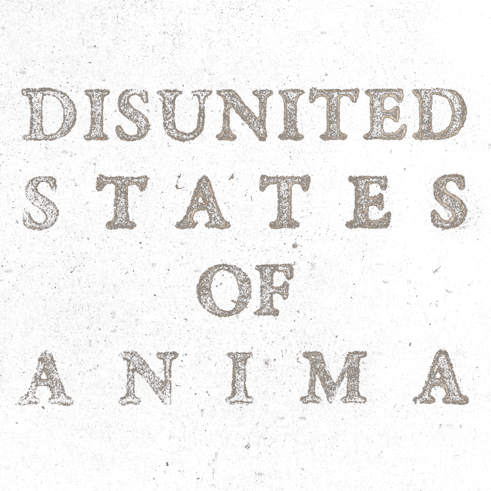 logo album